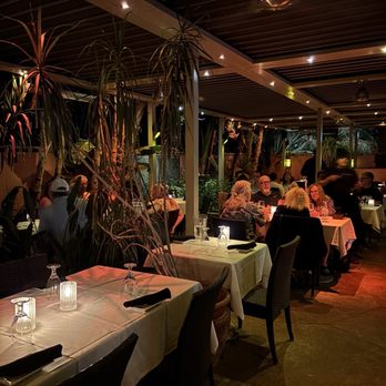 The Tropicale - Patio - New American Near Me - Palm Springs, California The Tropicale - Patio - New American Near Me - Palm Springs, California