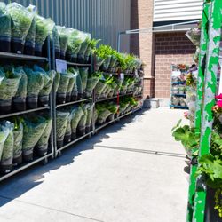 Costco Wholesale - Small garden centre