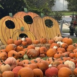 Tomoka Christian Church - Pumpkin patch