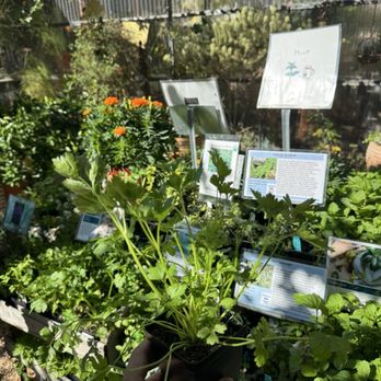 Flowerland Nursery - Nurseries & Gardening Near Me - Albany, California Flowerland Nursery - Nurseries & Gardening Near Me - Albany, California