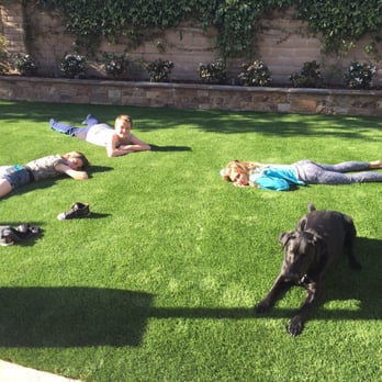 Ameriside - Kids and dog came home from school and ran for new turf, they all laid down and started giggling! They're SOOO happy with their new yard! - Windows Installation Near Me - Lake Forest, California