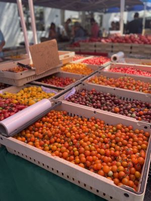 Campbell Farmer's Market by null