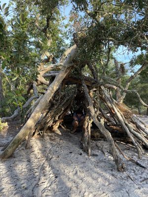 Carolina Beach State Park by null