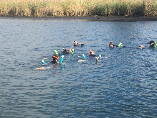 CRYSTAL RIVER MANATEE TOURS - Updated April 2024 - 22 Photos & 18