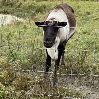 Parc Omega - Zoos Near Me - Montebello, Quebec