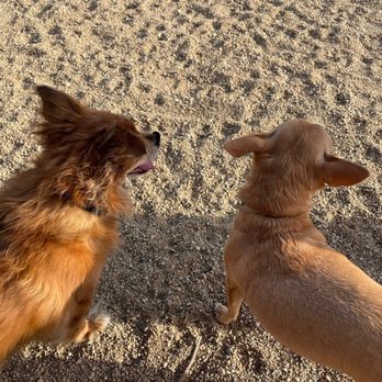 Hound Town Dog Park - Dog Parks Near Me - Moreno Valley, California