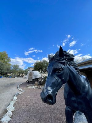 Tanque Verde Ranch by null
