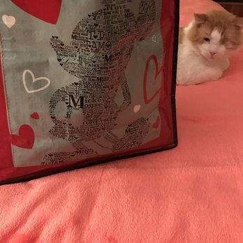 Unique - Reusable bag I found.  Bring your own bag. - Thrift Stores Near Me - Falls Church, Virginia