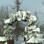 Photo of Explore Fairbanks