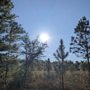 Photo of Brooker Creek Headwaters Nature Preserve