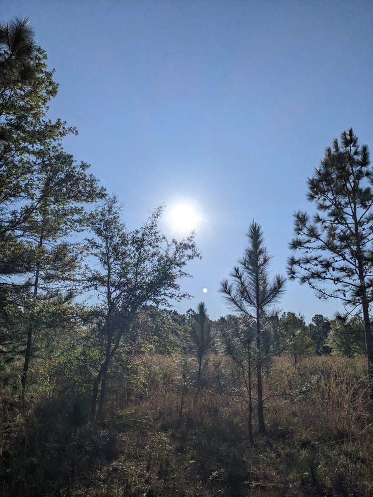 Brooker Creek Headwaters Nature Preserve Logo