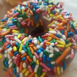 Daylight Donuts