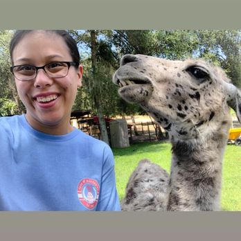LunaSea Alpaca Farm - Attraction Farms Near Me - Clermont, Florida LunaSea Alpaca Farm - Attraction Farms Near Me - Clermont, Florida