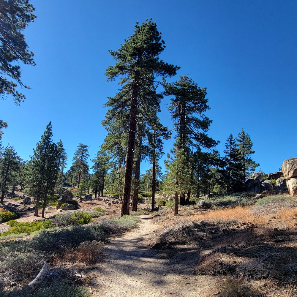 Castle Rock Trail - Hiking Near Me - Big Bear Lake, California