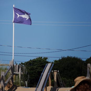 Nauset Beach - Shark flag! - Beaches Near Me - Orleans, Massachusetts