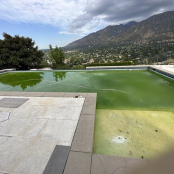 TrueBlue - Pool before shock treatment - Pool & Hot Tub Service Near Me TrueBlue - Pool before shock treatment - Pool & Hot Tub Service Near Me