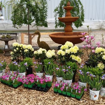 River Street Flowerland - Nurseries & Gardening Near Me - Kalamazoo, Michigan River Street Flowerland - Nurseries & Gardening Near Me - Kalamazoo, Michigan
