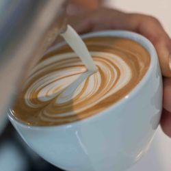 Primo Cafebar