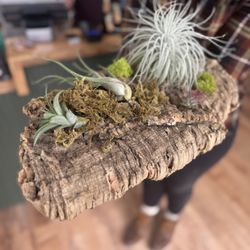 Roots to Petals Studio & Shop
