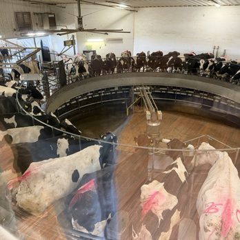 Morning Fresh Dairy - Dairy-Go-Around - CSA Near Me - Bellvue, Colorado