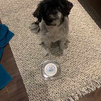 Poochie Trends Pet Boutique and Bakery - Pets Near Me Poochie Trends Pet Boutique and Bakery - Pets Near Me