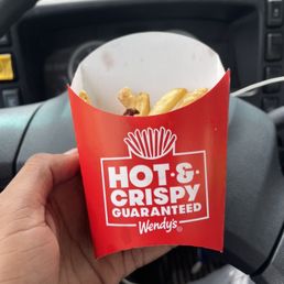 a hand holding a hot and crispy bag of fries