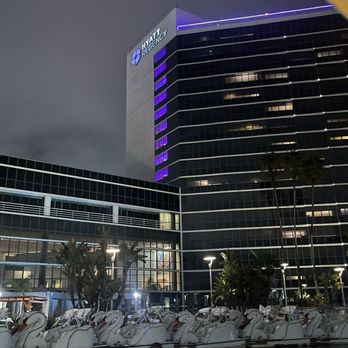 Hyatt Regency Long Beach - Even on a foggy night, Long Beach and Hyatt still look amazing! - Hotels Near Me - Long Beach, California Hyatt Regency Long Beach - Even on a foggy night, Long Beach and Hyatt still look amazing! - Hotels Near Me - Long Beach, California