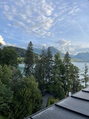 Hotel Vitznauerhof by null