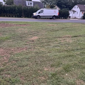 Nick's Tree Care - Tire marks in front yard - Tree Services Near Me Nick's Tree Care - Tire marks in front yard - Tree Services Near Me