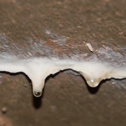 Stausee Lütschetalsperre - Tropfsteinhöhle am Fuße der Staumauer