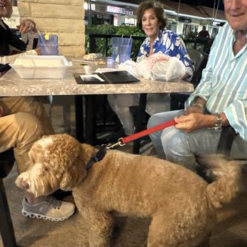 Chris' Taverna - Cutest customer - Greek Near Me - Lake Worth, Florida Chris' Taverna - Cutest customer - Greek Near Me - Lake Worth, Florida
