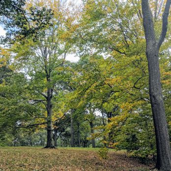 Arnold Arboretum - Parks Near Me - Boston, Massachusetts