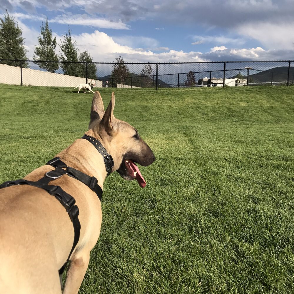 Mountain Valley RV Resort - Abigail Force Winds surveying the land. - RV Parks Near Me - Heber City, Utah Mountain Valley RV Resort - Abigail Force Winds surveying the land. - RV Parks Near Me - Heber City, Utah