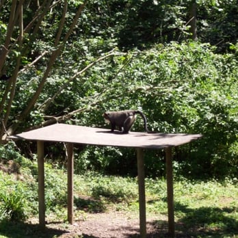 Port Lympne Reserve - Animal Shelters Near Me - Hythe, KEN