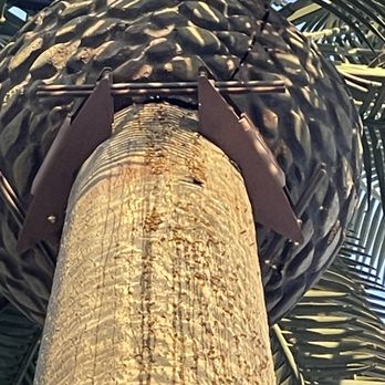 BeesBegone - Pest Control Near Me