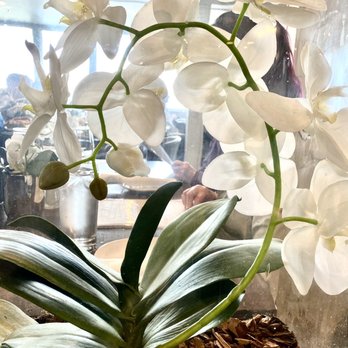 Lake House Restaurant - Fresh orchids everywhere - Mediterranean Near Me - Vineland, Ontario