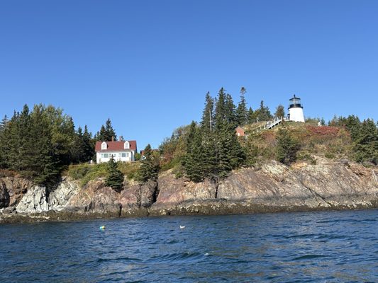 Camden Harbor by null