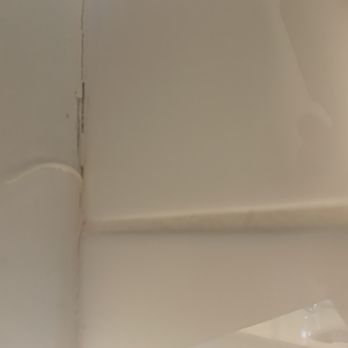 Wayne Wiles Floor Coverings - Need I say any more! And this is after 3 weeks! - Carpeting Near Me - Fort Myers, Florida Wayne Wiles Floor Coverings - Need I say any more! And this is after 3 weeks! - Carpeting Near Me - Fort Myers, Florida