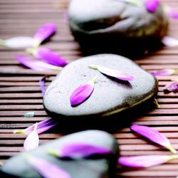 Bamboo Spa