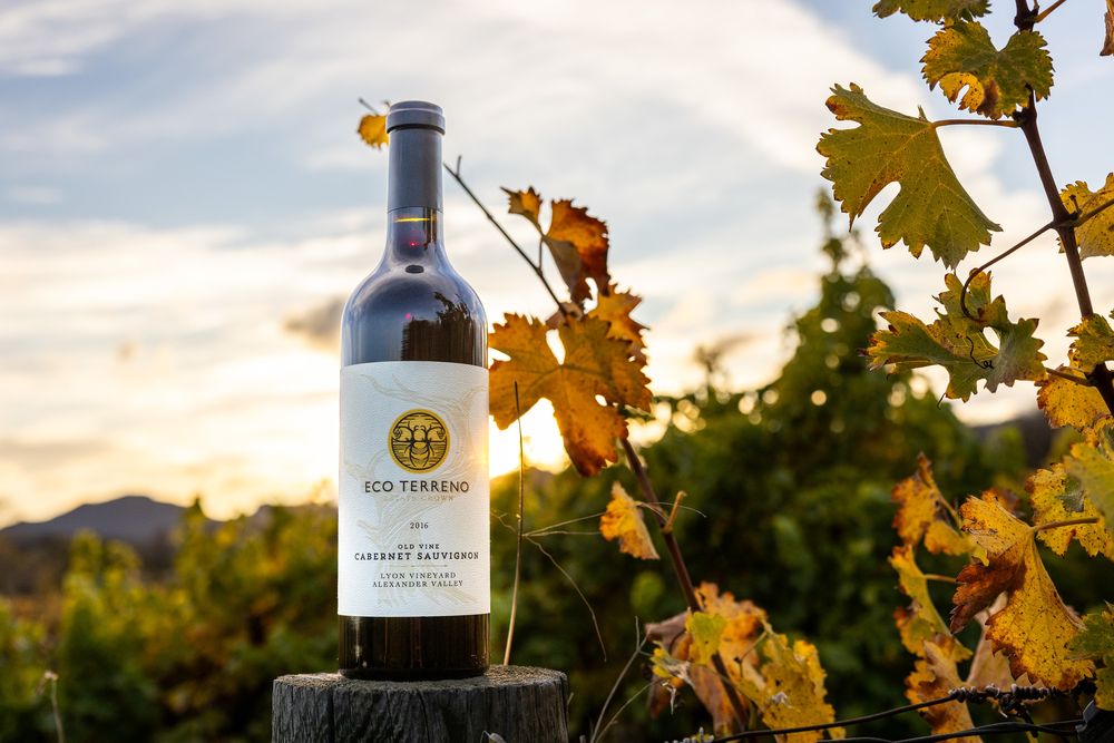 Eco Terreno Tasting Room - vineyard in San Francisco, CA