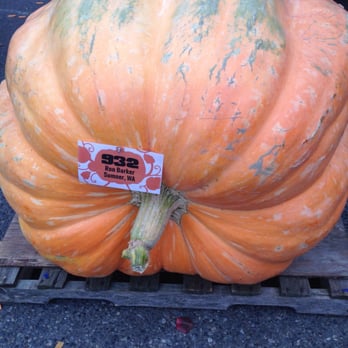 Great Pumpkin Beer Festival - Giant pumpkins! - Festivals Near Me - Seattle, Washington Great Pumpkin Beer Festival - Giant pumpkins! - Festivals Near Me - Seattle, Washington