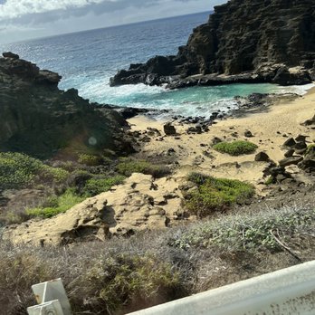 Hawaii Turtle Tours - From Here to Eternity beach along with Fifty First Dates and others - Tours Near Me - Honolulu, Hawaii