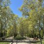 Photo of Park Letná