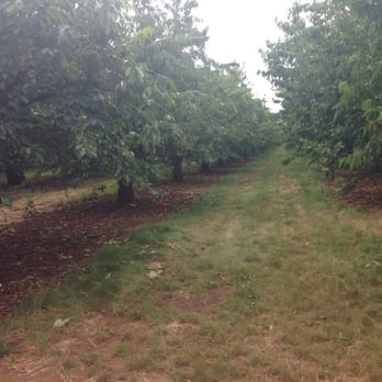 Olson Stuart Farms - Fruits & Veggies Near Me - Salem, Oregon