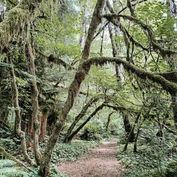 Camp 18 Restaurant - The trail - American Near Me - Seaside, Oregon
