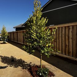 Nunez Landscape Services