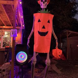 Haunted Forest of Maple Valley