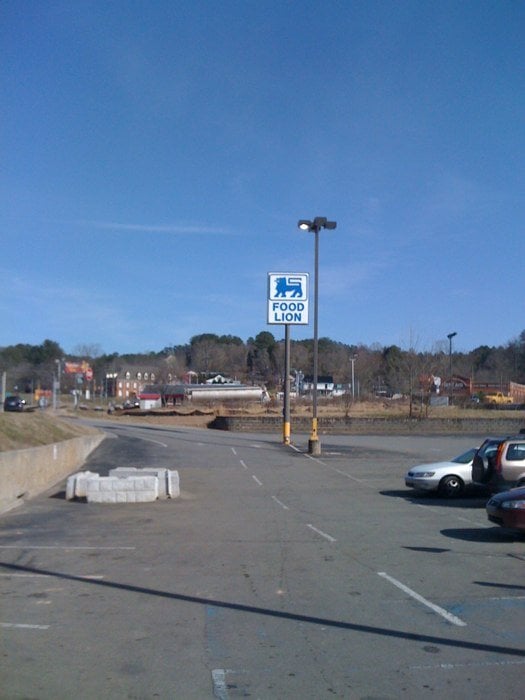 Food Lion Logo