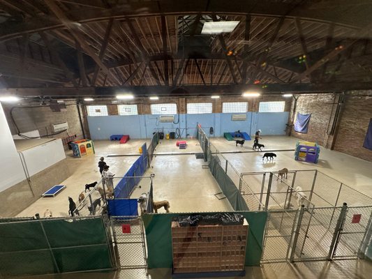 DoGone Fun Resort by null