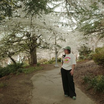 Kobe Terrace - Parks Near Me - Seattle, Washington Kobe Terrace - Parks Near Me - Seattle, Washington